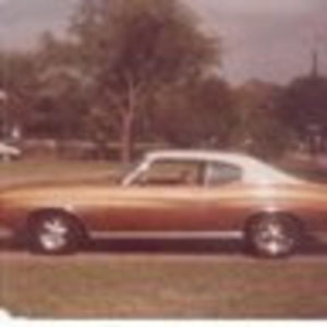 Meet your Posher, Patrick